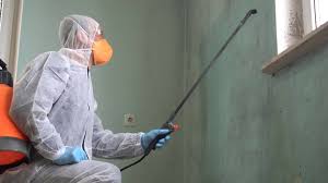 Professional Mold Removal & Remediation in Kershaw, SC