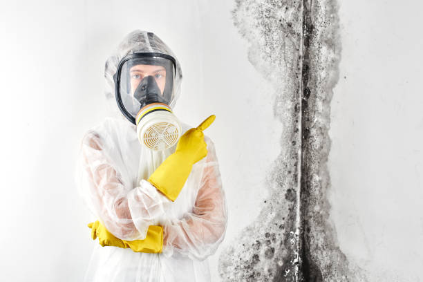 Best Asbestos and Lead Testing During Mold Inspection  in Kershaw, SC