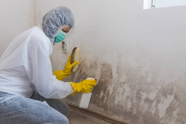 Best Mold Removal for HVAC Installations  in Kershaw, SC