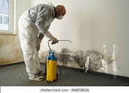 Best Mold Prevention Services  in Kershaw, SC